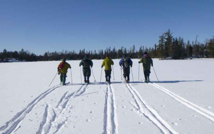 five cross country skiers move away from the camera, leaving lined tracks in the snow